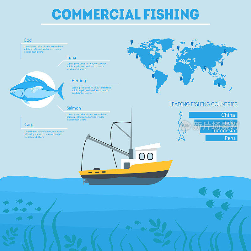Cartoon Commercial Fishing Infographic Card Poster. Vector